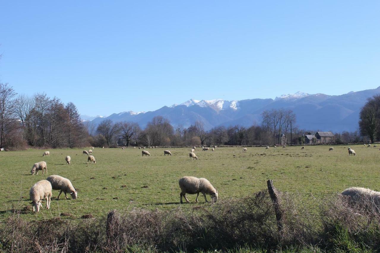 Gites L'Escargot Bleu Oloron-Sainte-Marie Buitenkant foto